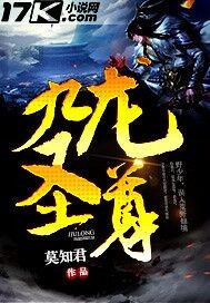 九龍聖尊小说封面